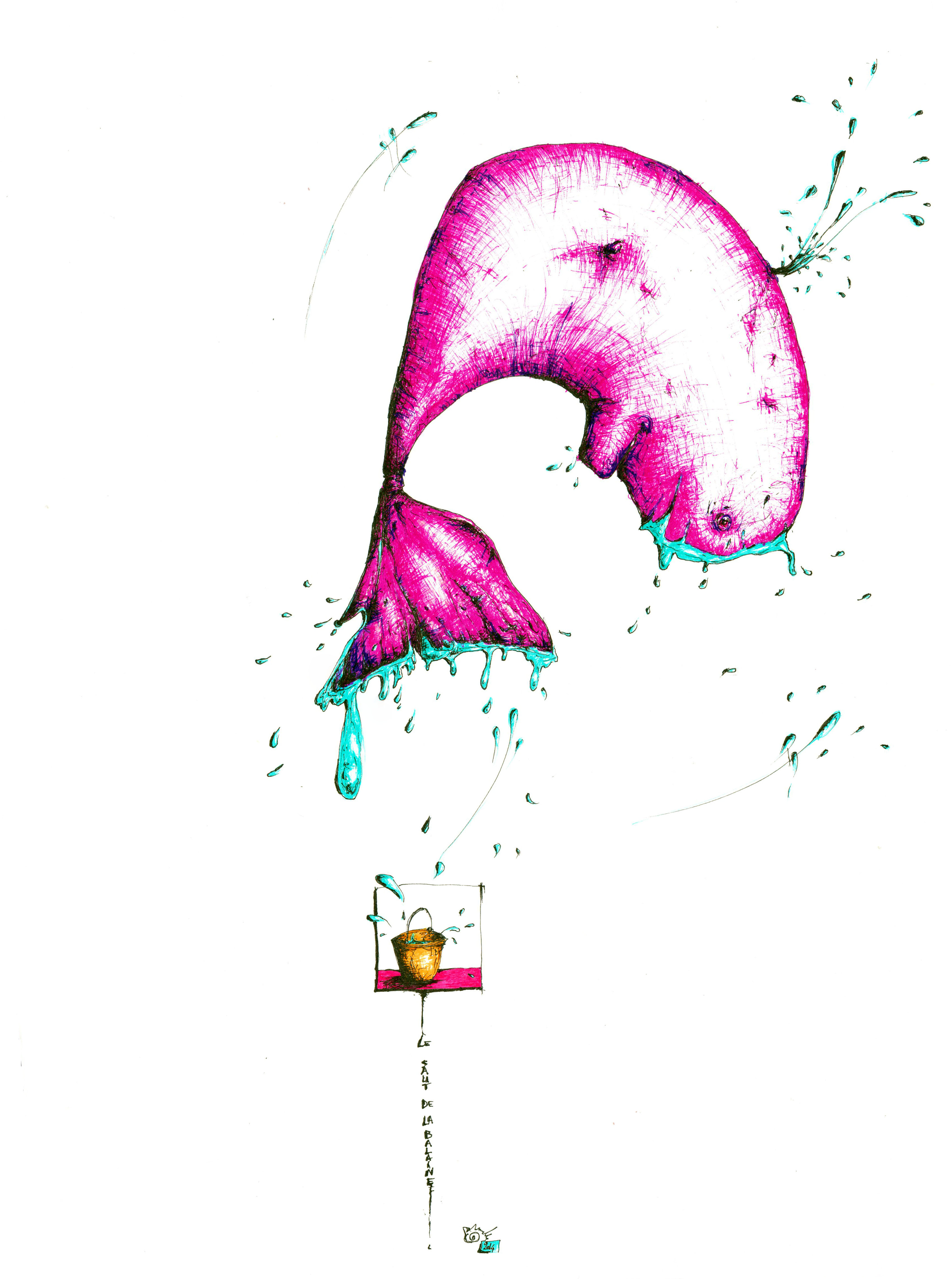 Le saut de la baleine