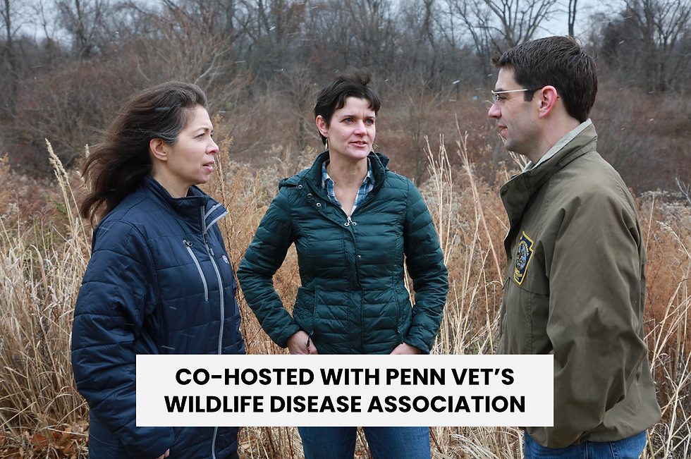 WILDLIFE FUTURES & ZOONOSIS » Julie Ellis, MS, PhD