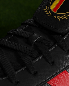 BELGIUM_CLOSEUP1.png