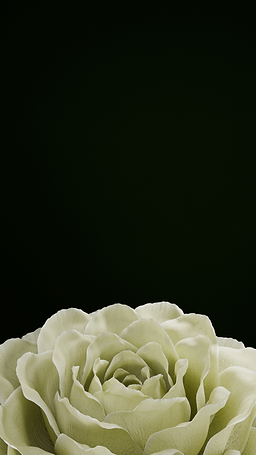 shot1_flower.png