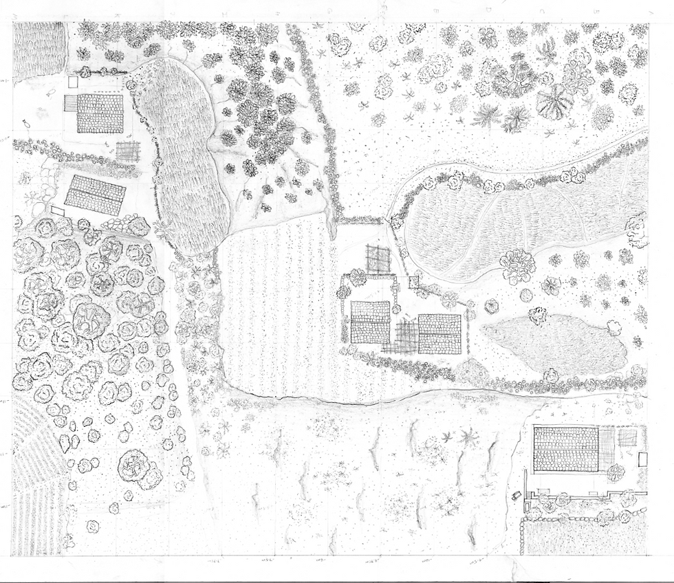 Screenshot 2026-02-05 175415 (1).png