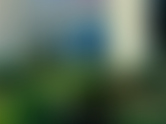 A New Chapter: Opening Our Santa Barbara Location