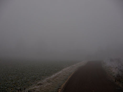 cheminbrume2.jpg