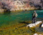 Man fly fishing on the San Juan River