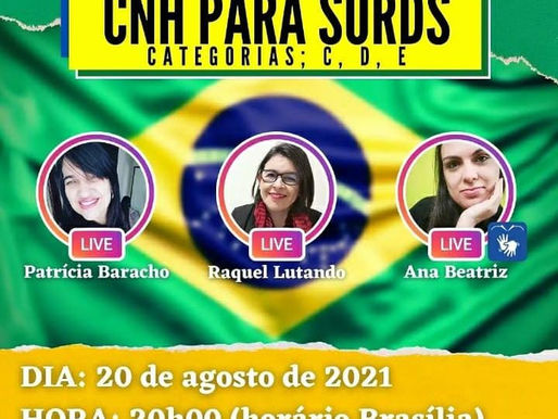 Live - Pitbull Responde!