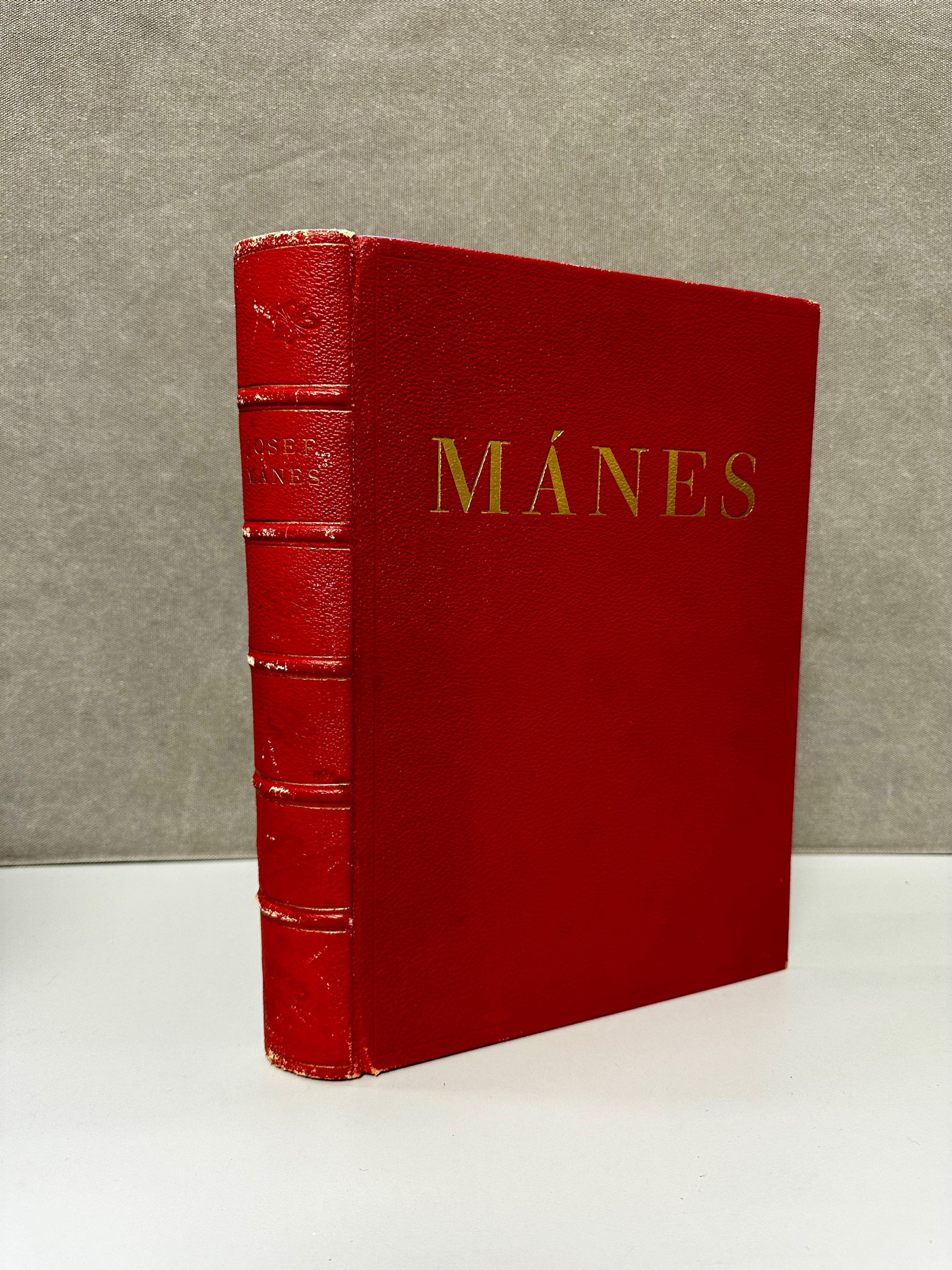 Josef Mánes : Živý pramen národní tradice