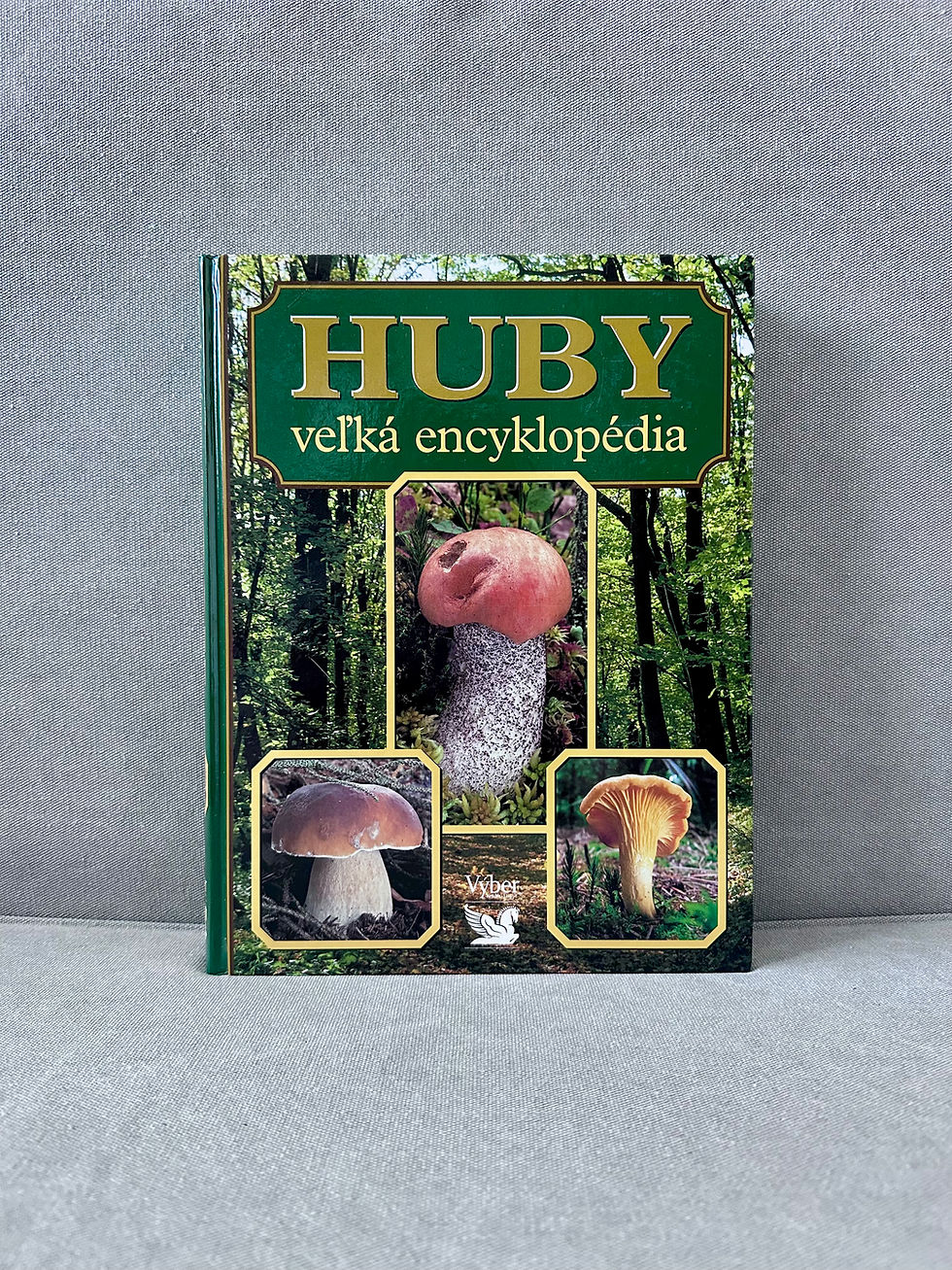 Miniatúra: Huby veľká encyklopédia