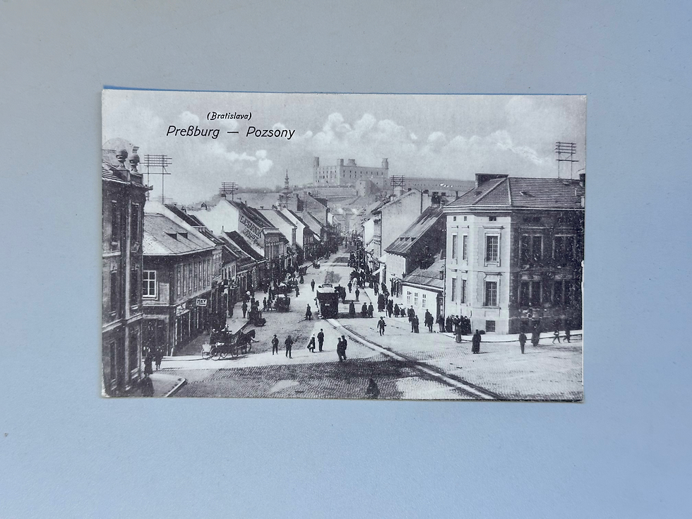 Miniatúra: Pohľadnica Bratislava / Pressburg / Poszony