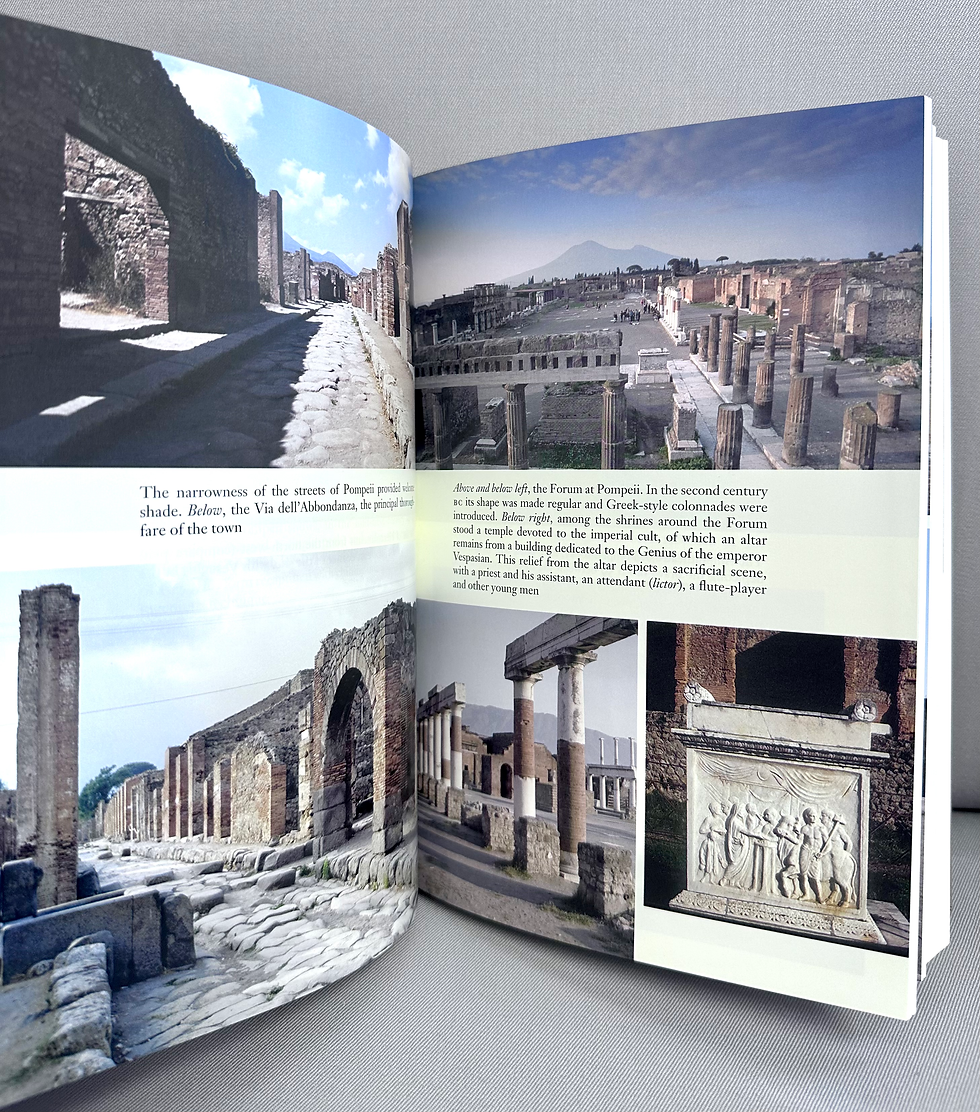 Miniatúra: Pompeii and Herculaneum