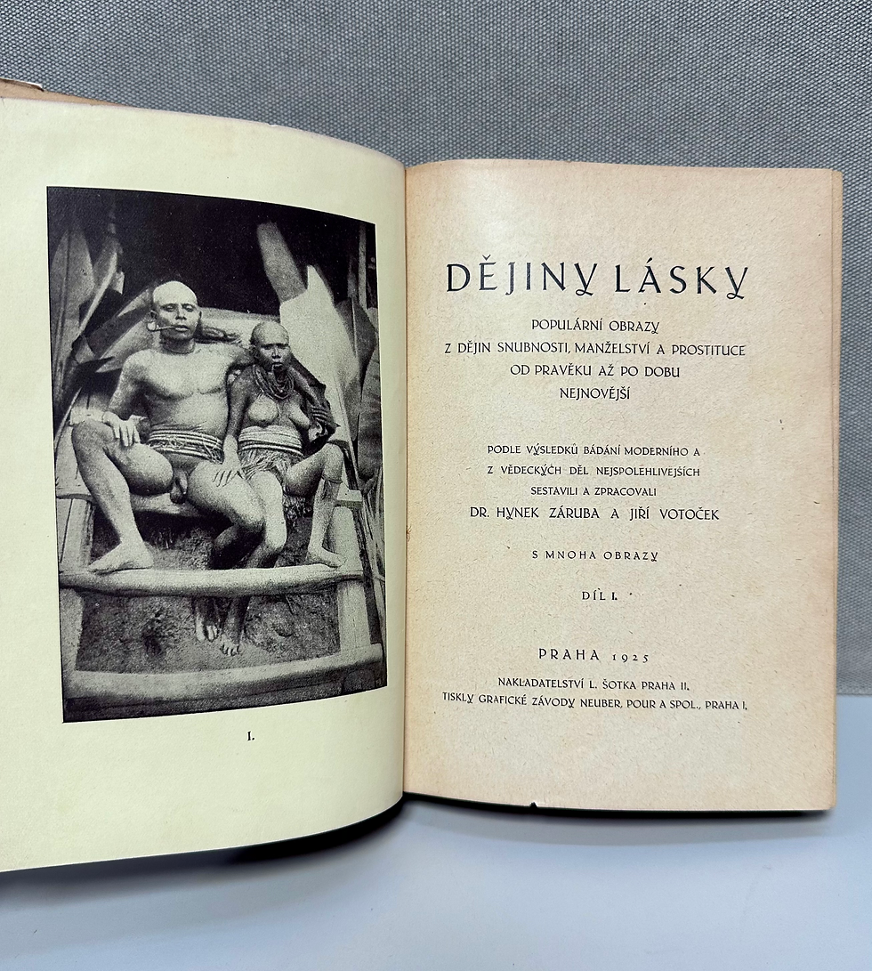 Miniatúra: Dějiny lásky: Populárni obrazy z dějin snubnosti, manželství a prostituce I.-V.