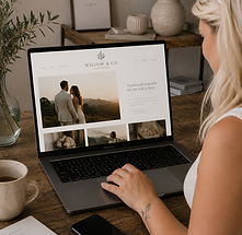 website creation | the humble bee company.png