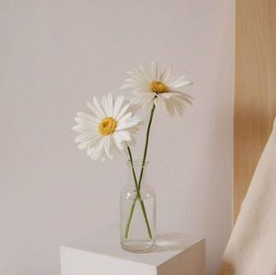 Procrastinação: Entenda o Ciclo e Aprenda a Superá-lo com a TCC