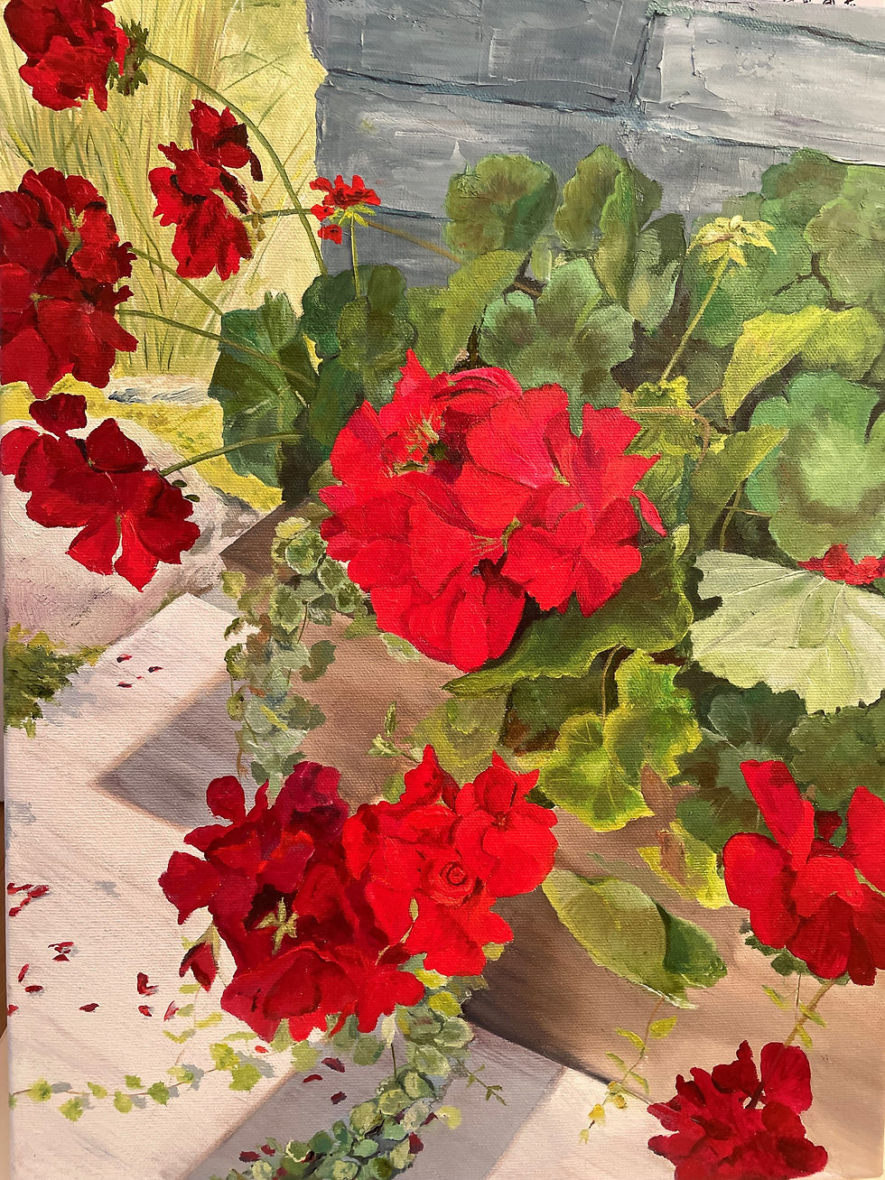 GERANIUMS