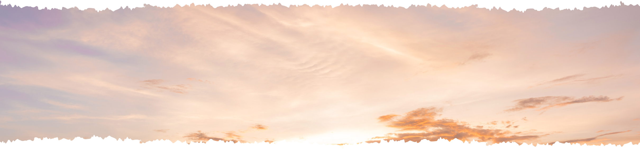 slider_back.png