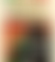 Bookmark: My Year of Meats by Ruth Ozeki