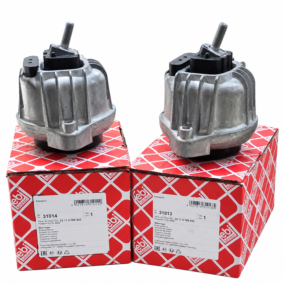 Miniatura: Kit Coxins Motor BMW 1 3 X1 E84 / Z4 E89 N20 – OEM 22116768852/53