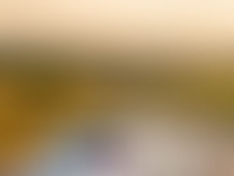 BMW 330i com Motor N55