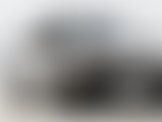 BMW X1 no Brasil: A Evolução do N20 ao B48 e o Que Isso Significa na Manutenção