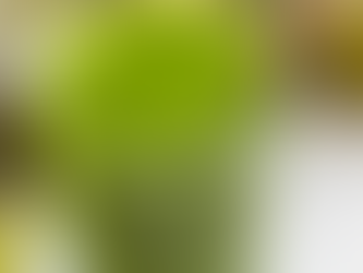 Gut to Skin Green Smoothie