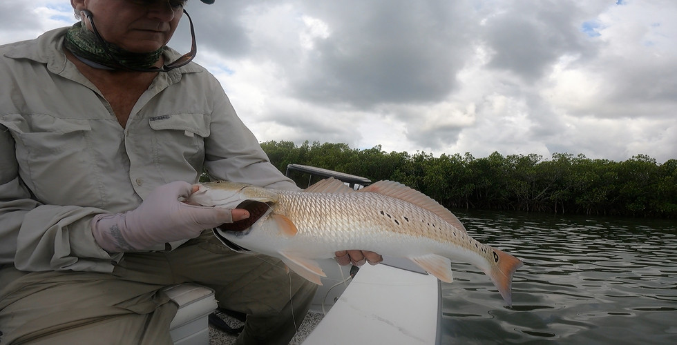 Redfish|Captain John Tarr|Tailhunter Outdoor Adventures|Fishing|Fishing Report|Florida|Fishing Guide|Fishing Charter