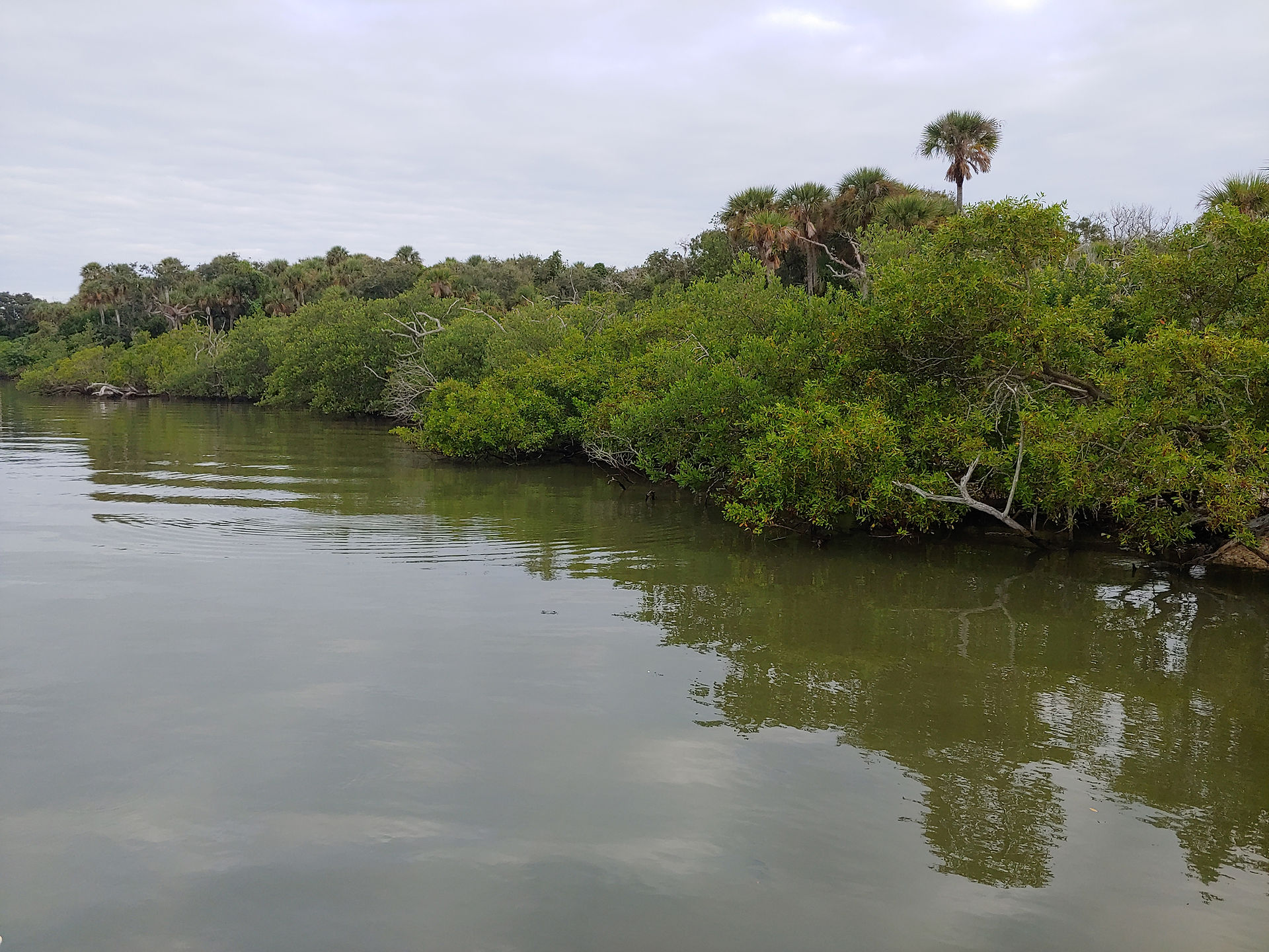 Shoreline Restoration