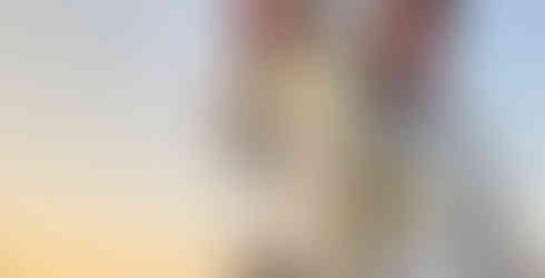 Captain John Tarr|Tailhunter Outdoor Adventures|Fishing|Fishing Report|Fishing Guide|Fishing Charter|Florida|Orlando|Daytona Beach|New Smyrna Beach|Spacecoast|Mosquito Lagoon|Snook