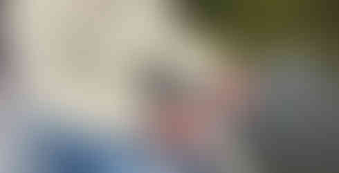 Captain John Tarr|Tailhunter Outdoor Adventures|Fishing|Fishing Guide|Fishing Charters|Fly Fishing|ZMan|Florida