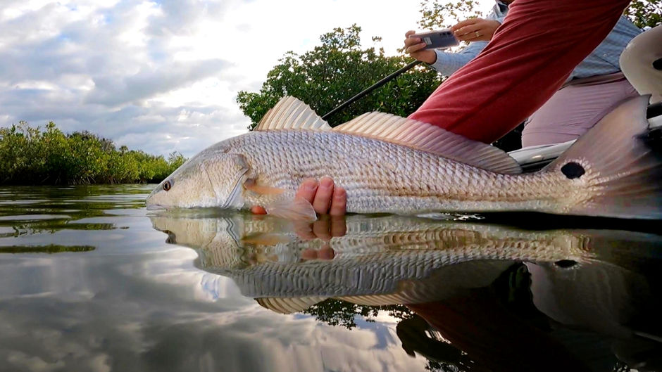 Florida Fishing Guide Fishing Report
