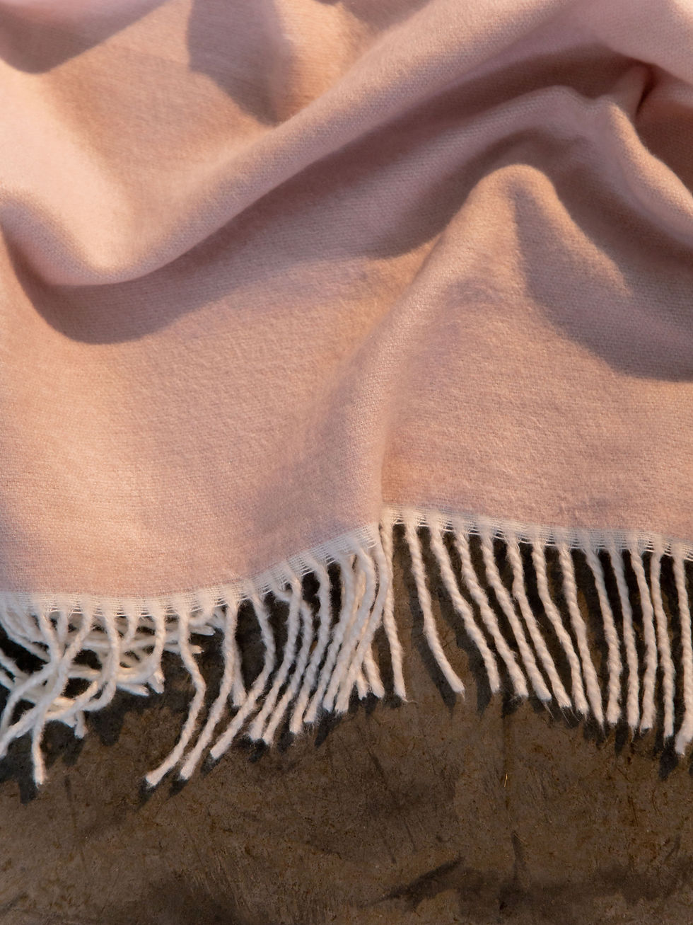 Thumbnail: HOME DECOR | THROW | MILANI