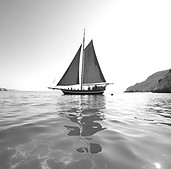 -post-ai-image-30427_edited.jpg