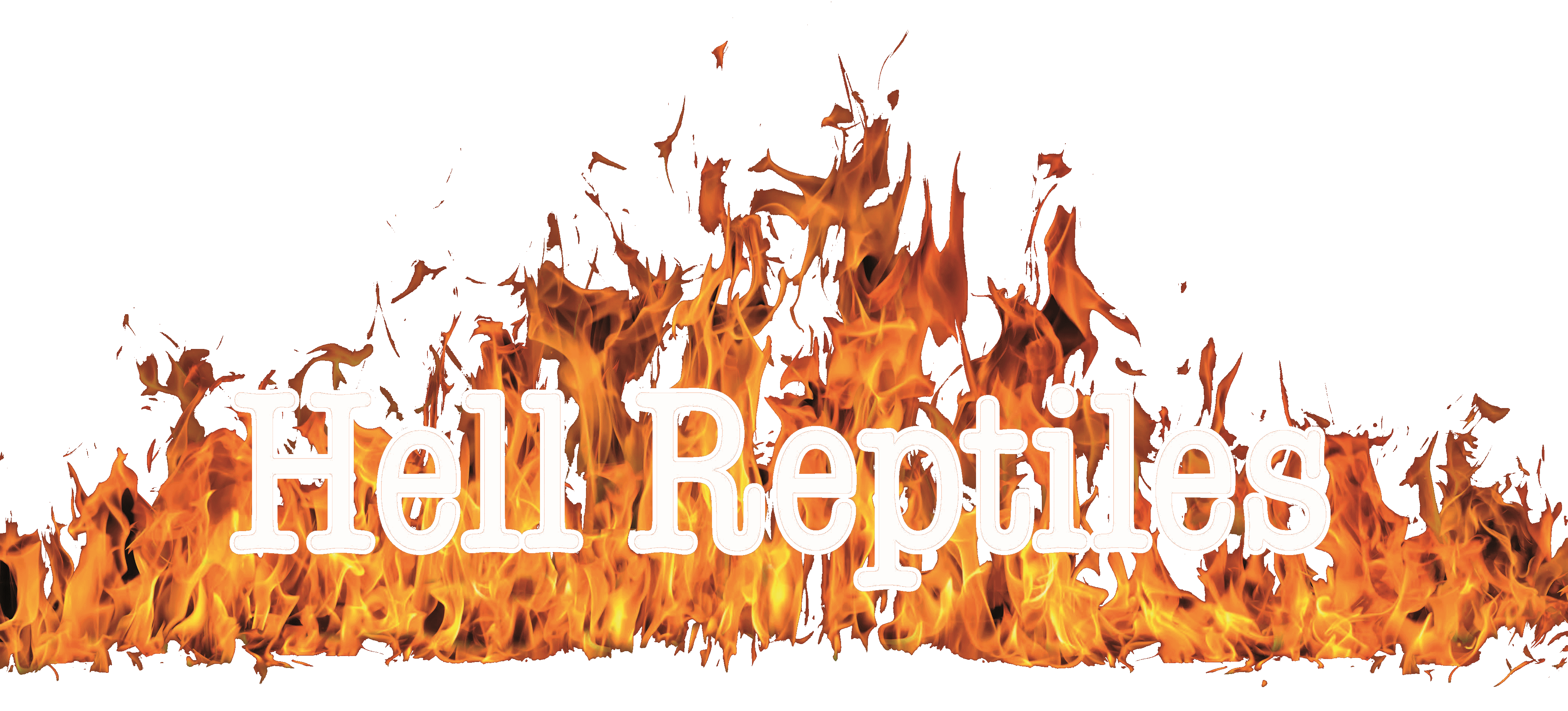 Hell Reptiles_Logodatei1_test_1.gif