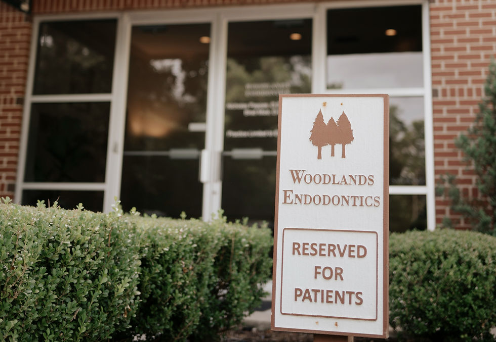Regenerative Endodontics in The Woodlands, TX - Woodlands Endodontics