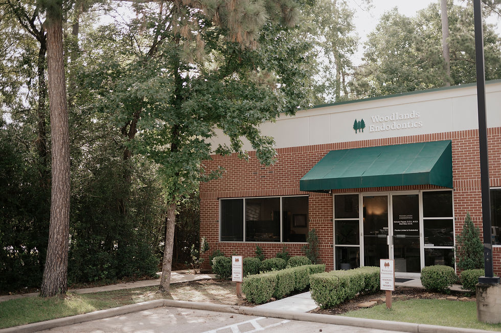 Micro Endodontics in The Woodlands, TX - Woodlands Endodontics