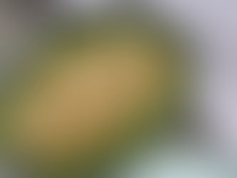 Glutenfreie Spinat-Käsespätzle mit Champignonsoße