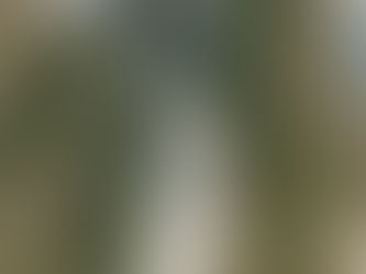 Tranquil Retreat at Northern Lights Aurora