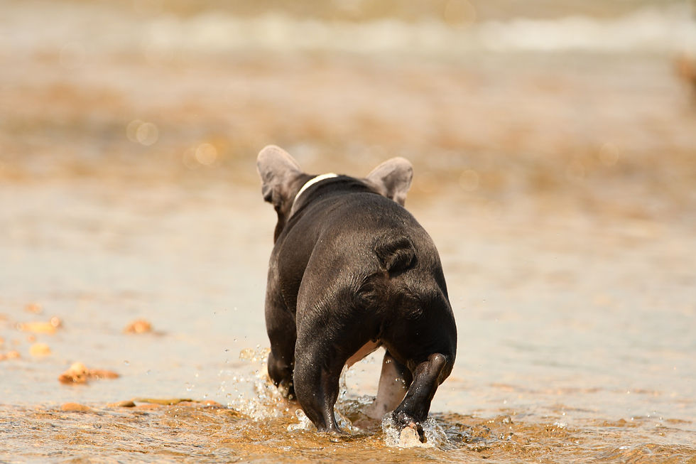 One Slow Afternoon at HASKINS FORD- Isabella, MO