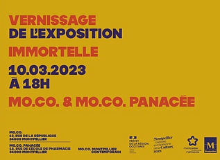 Moco Encart Immortelle