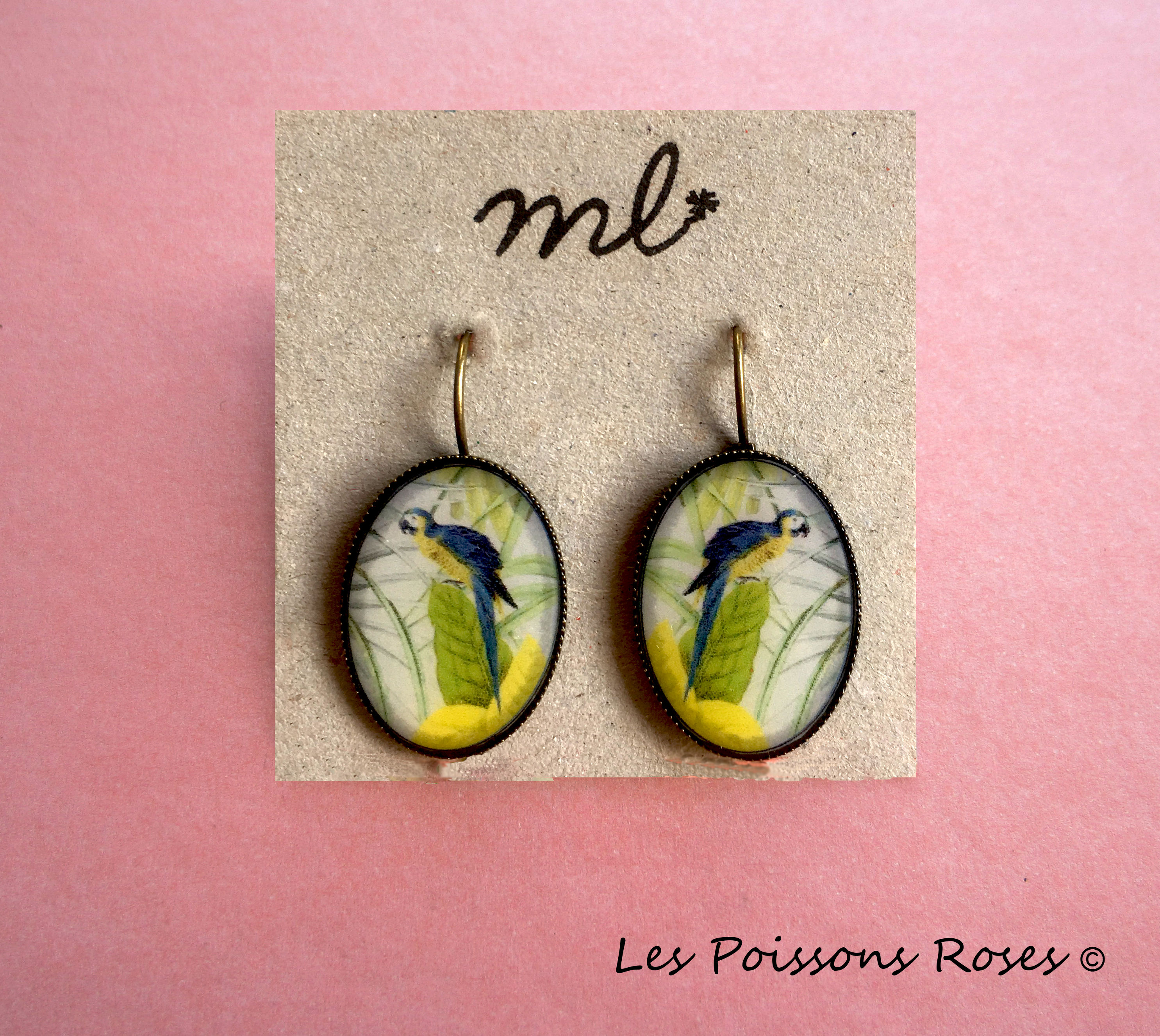 Les perroquets exotiques