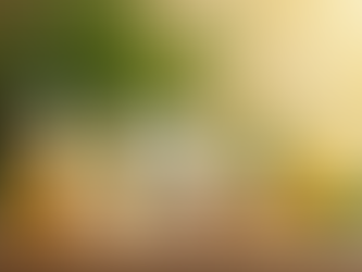 Unveiling Brazicare Beauty in Dublin 1