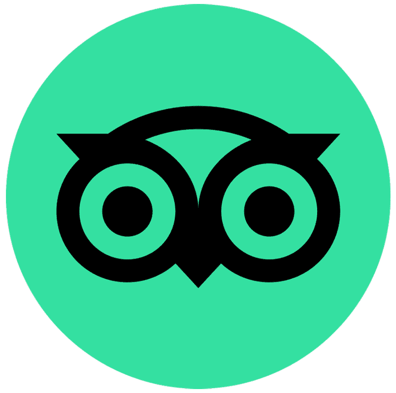 Tripadvisor-Logo 1