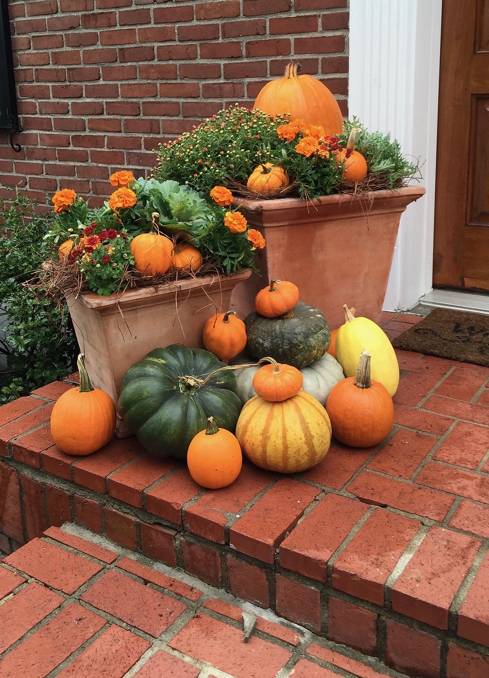 Two large terra cotta planters filled with pumpkins and gourds
