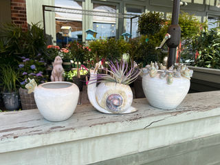 Photo Gallery | Custom Floral Arrangements | Special Events