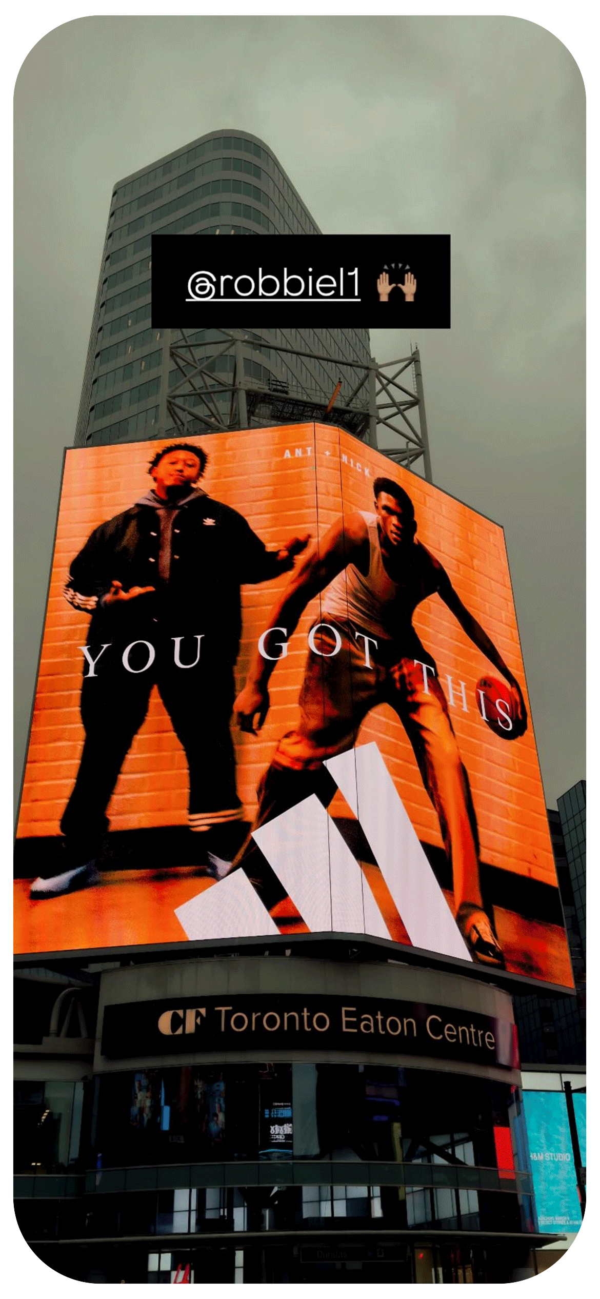 shares.gif