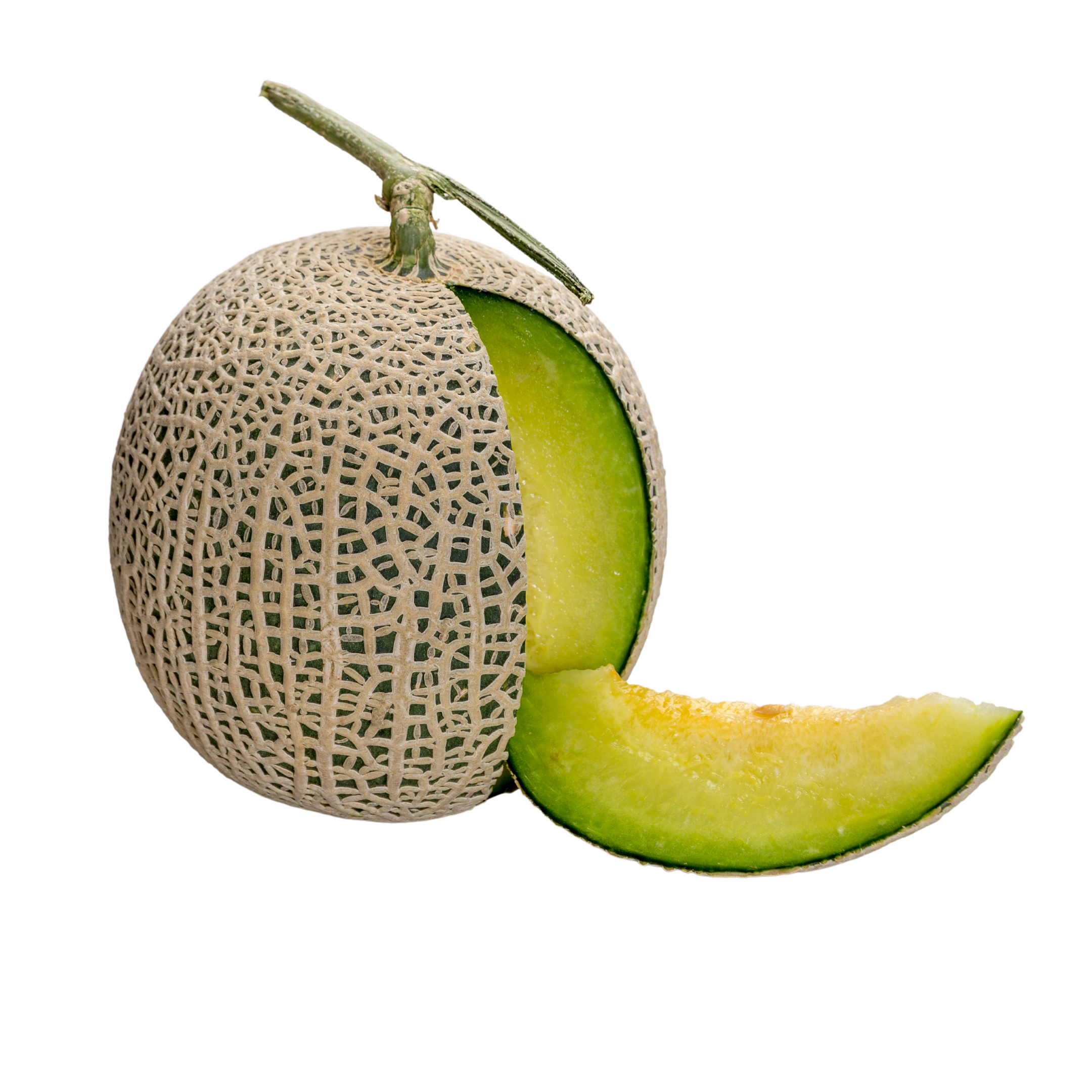 Melon Honeydew
