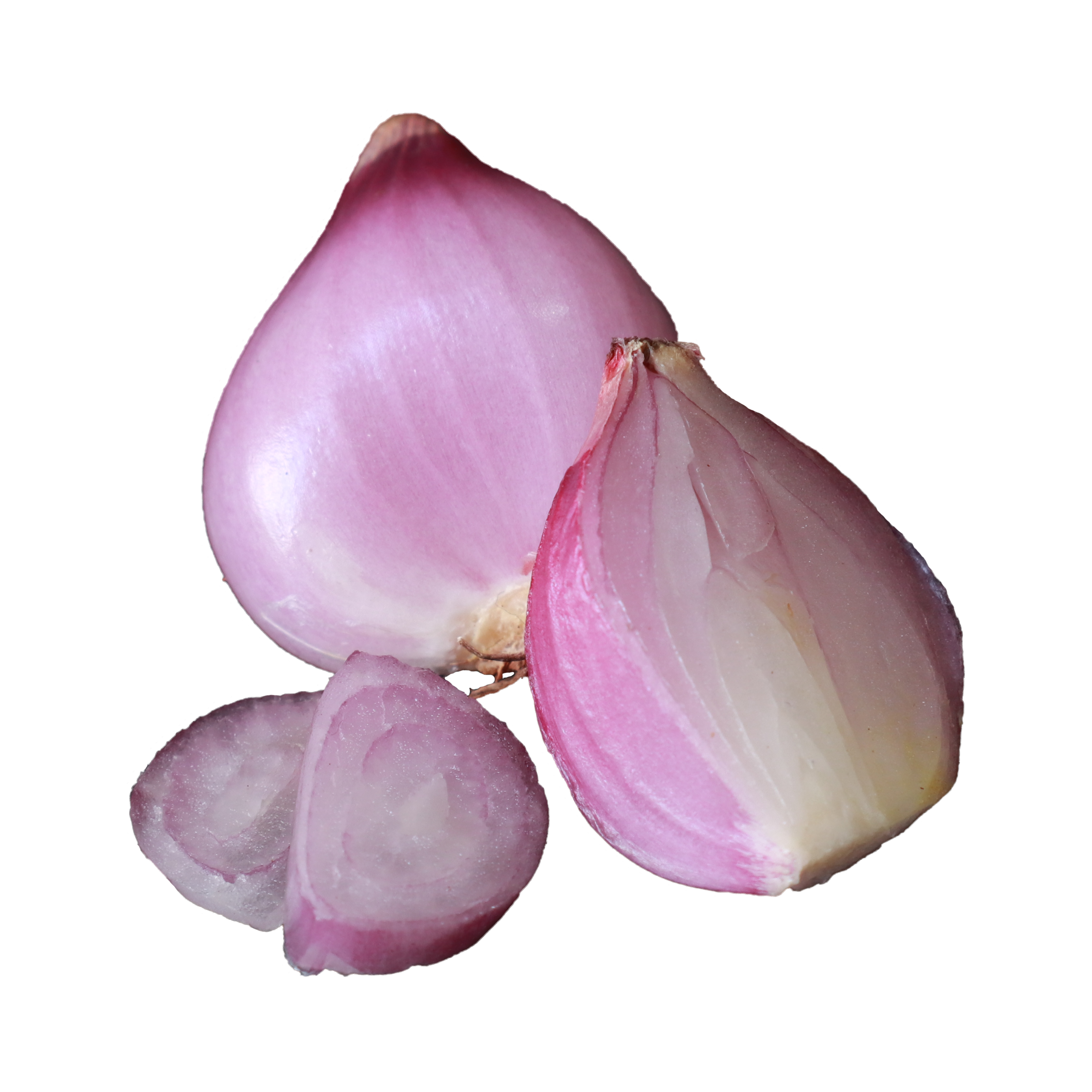 Onion Red Pearl Peeled