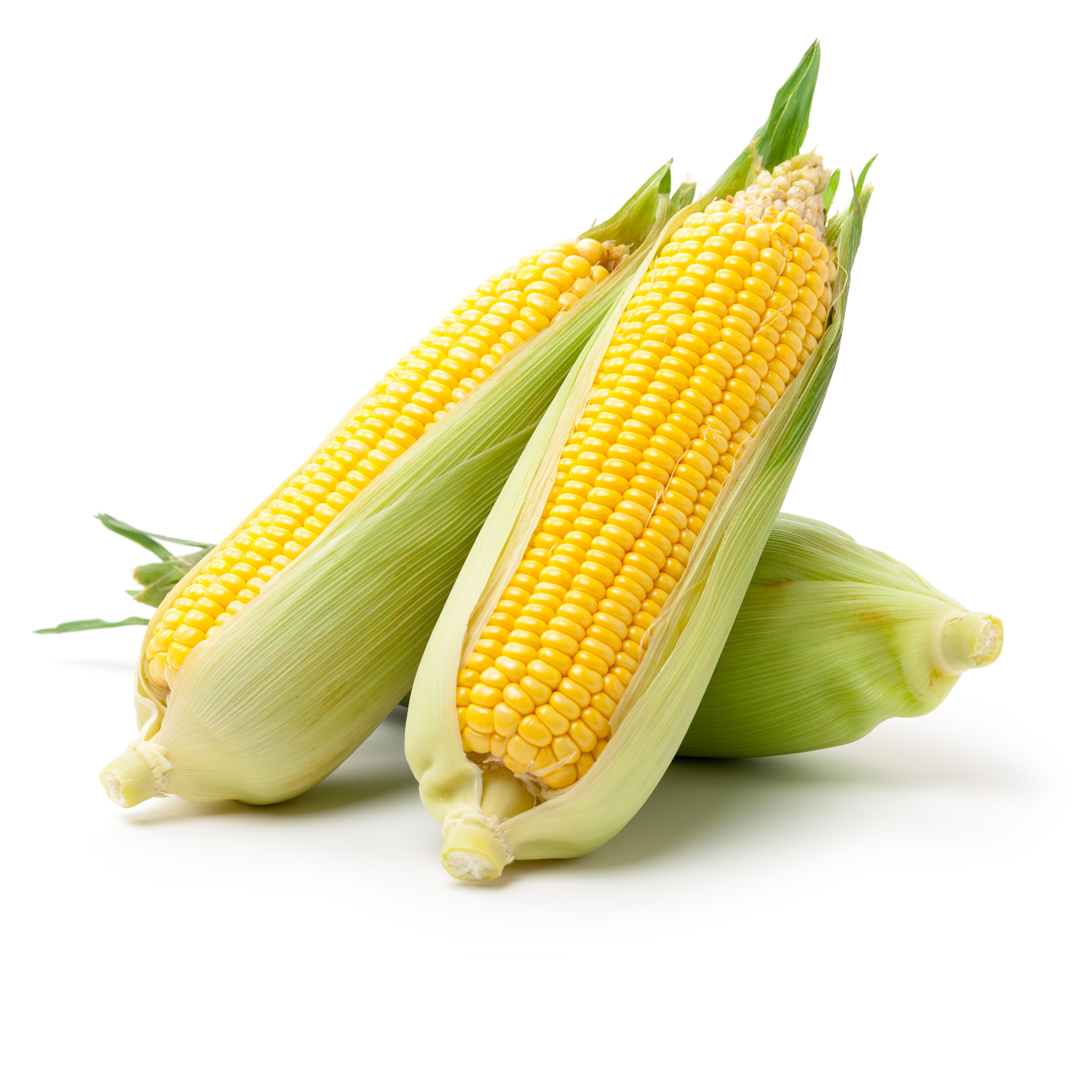 Yellow Corn