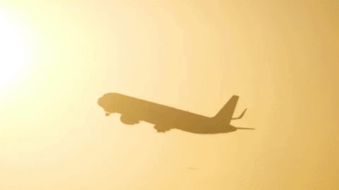 giphy-3.gif