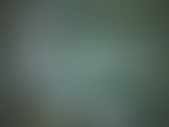 Comforting, Useful Gifts for Dementia: Gentle Joys That Actually Help