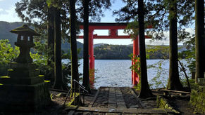 The waterside torii gates at Hakone Shrine at Lake Ashi in morning light.