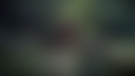 Lesser-known Kyoto temples and shrines